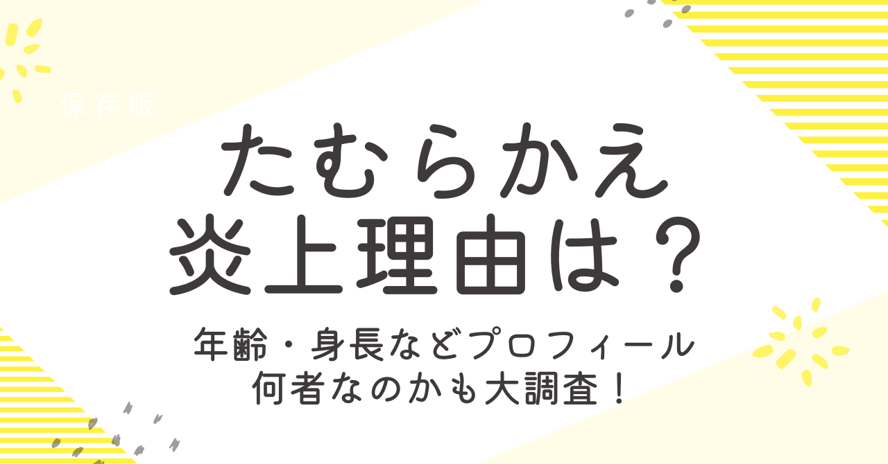 たむらかえ炎上理由は？年齢や身長などのプロフィールから何者なのか大調査！